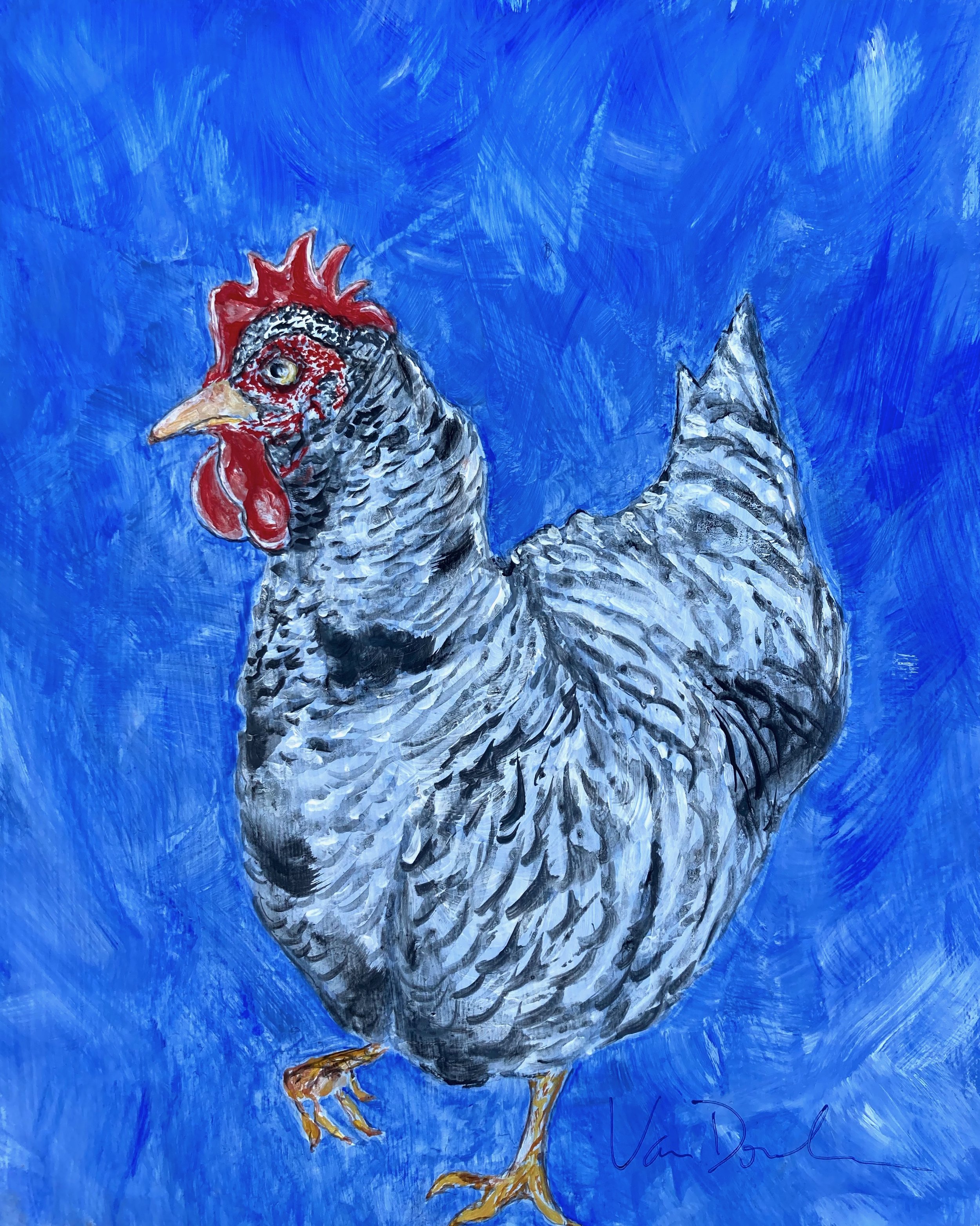 Barred Rock Hen, acrylic on paper, aprox 8x10
