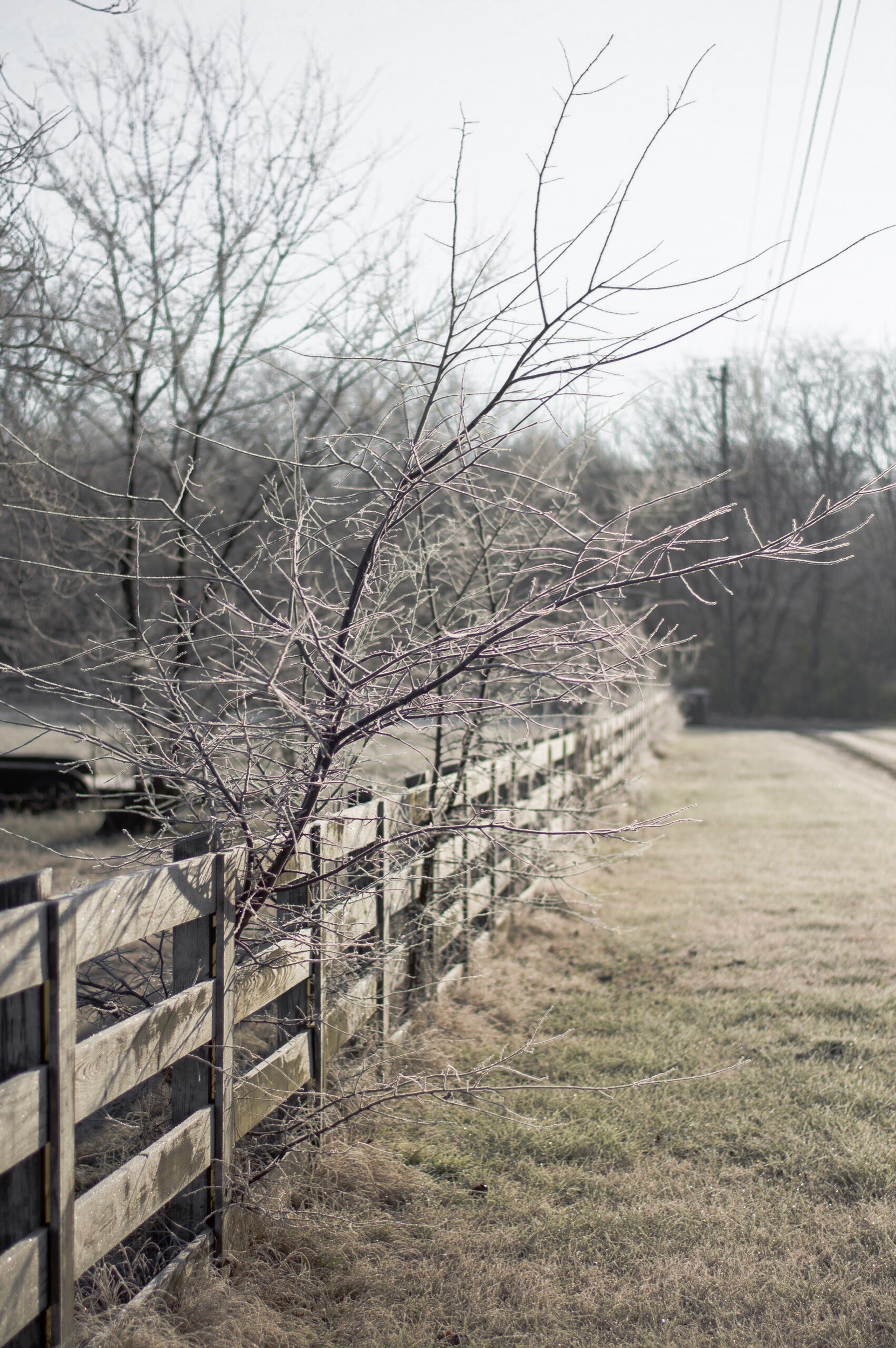 DSC_0087.jpeg