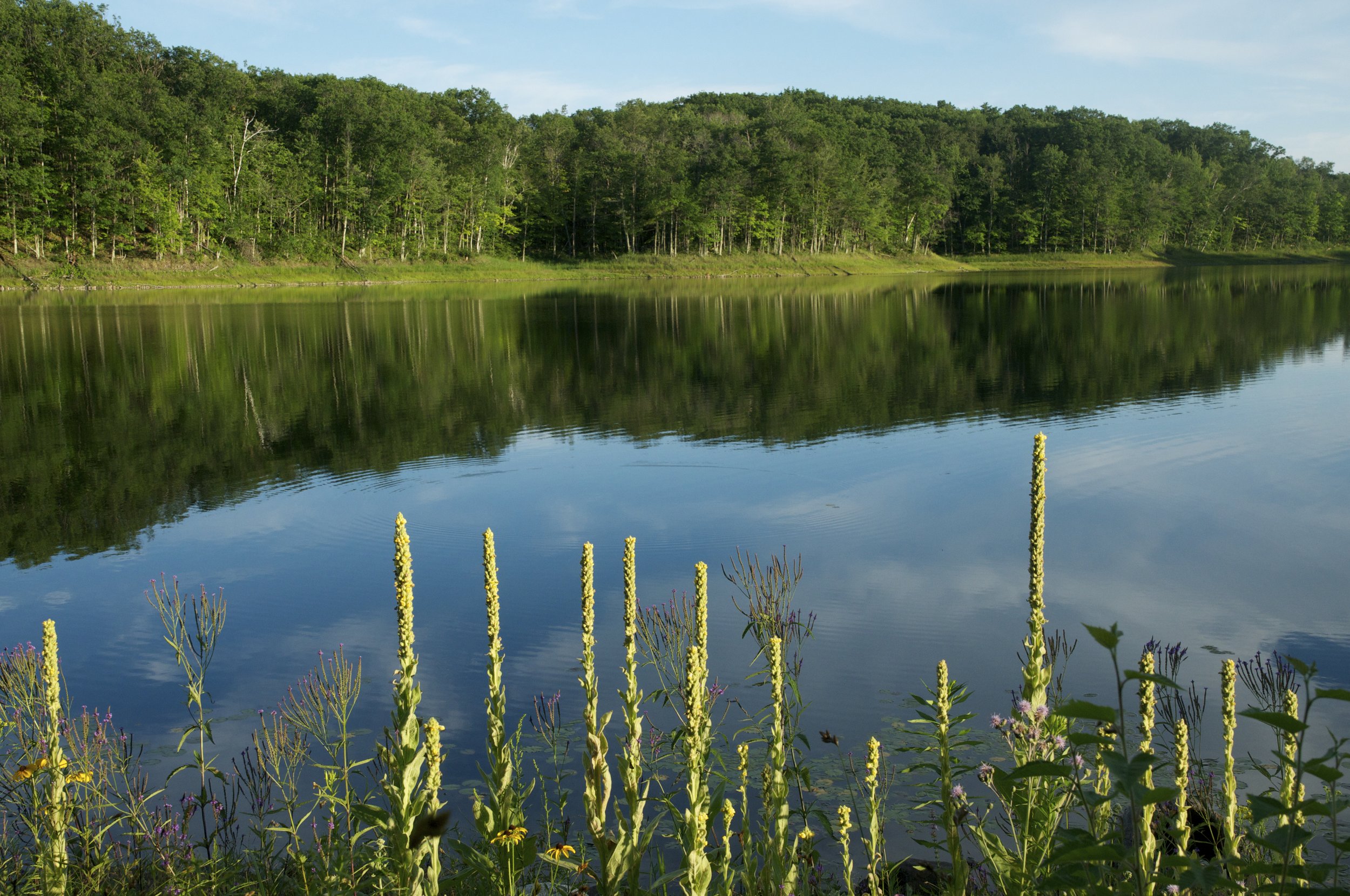 Berry Lake.JPG