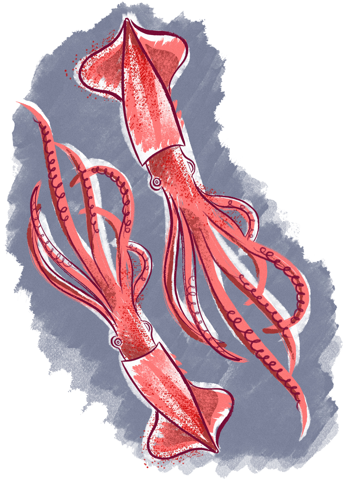 What-I-Ate-Squid-transparent.png