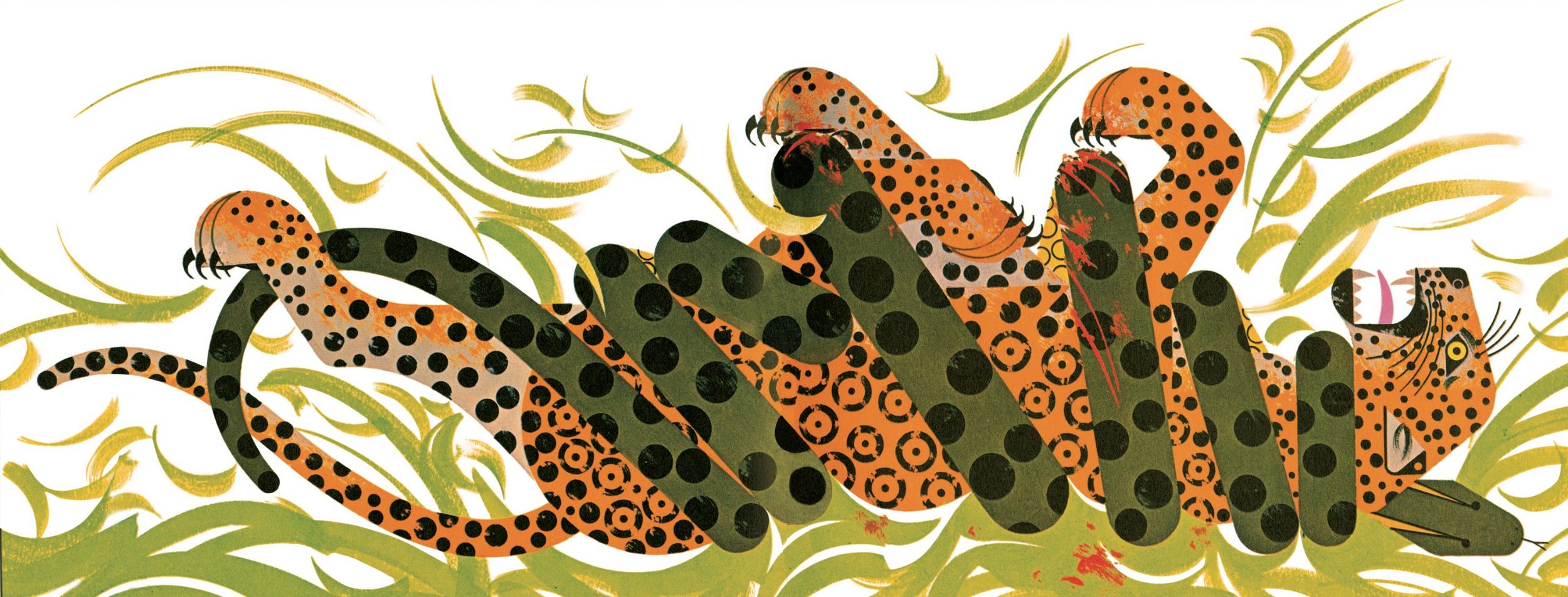 charley harper leopard.jpg