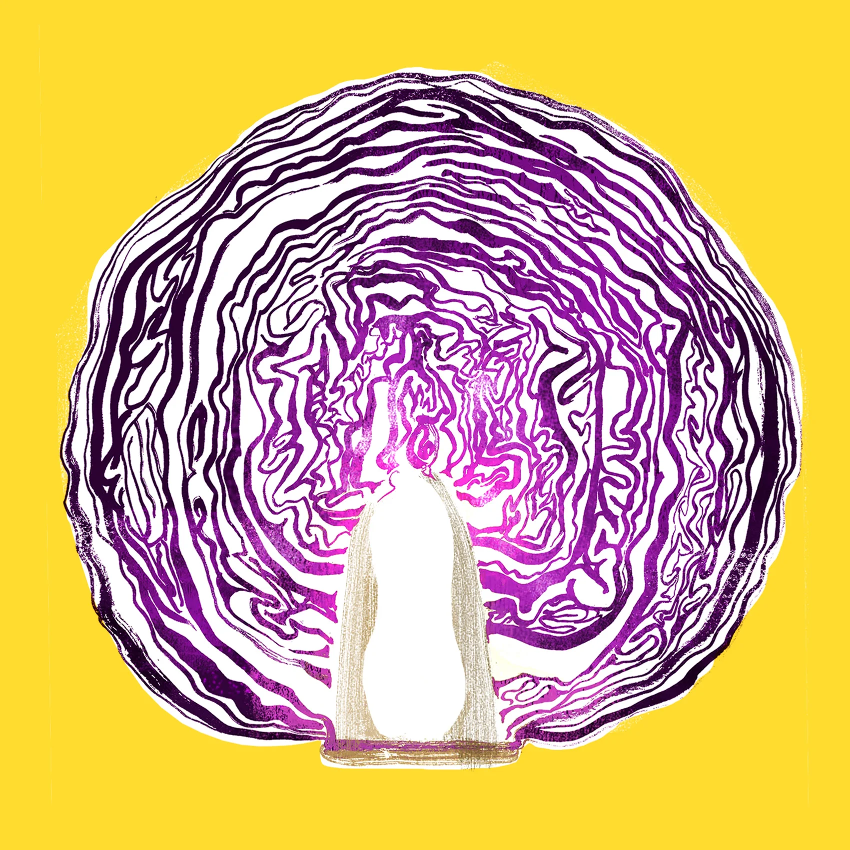 cabbage-new.jpg