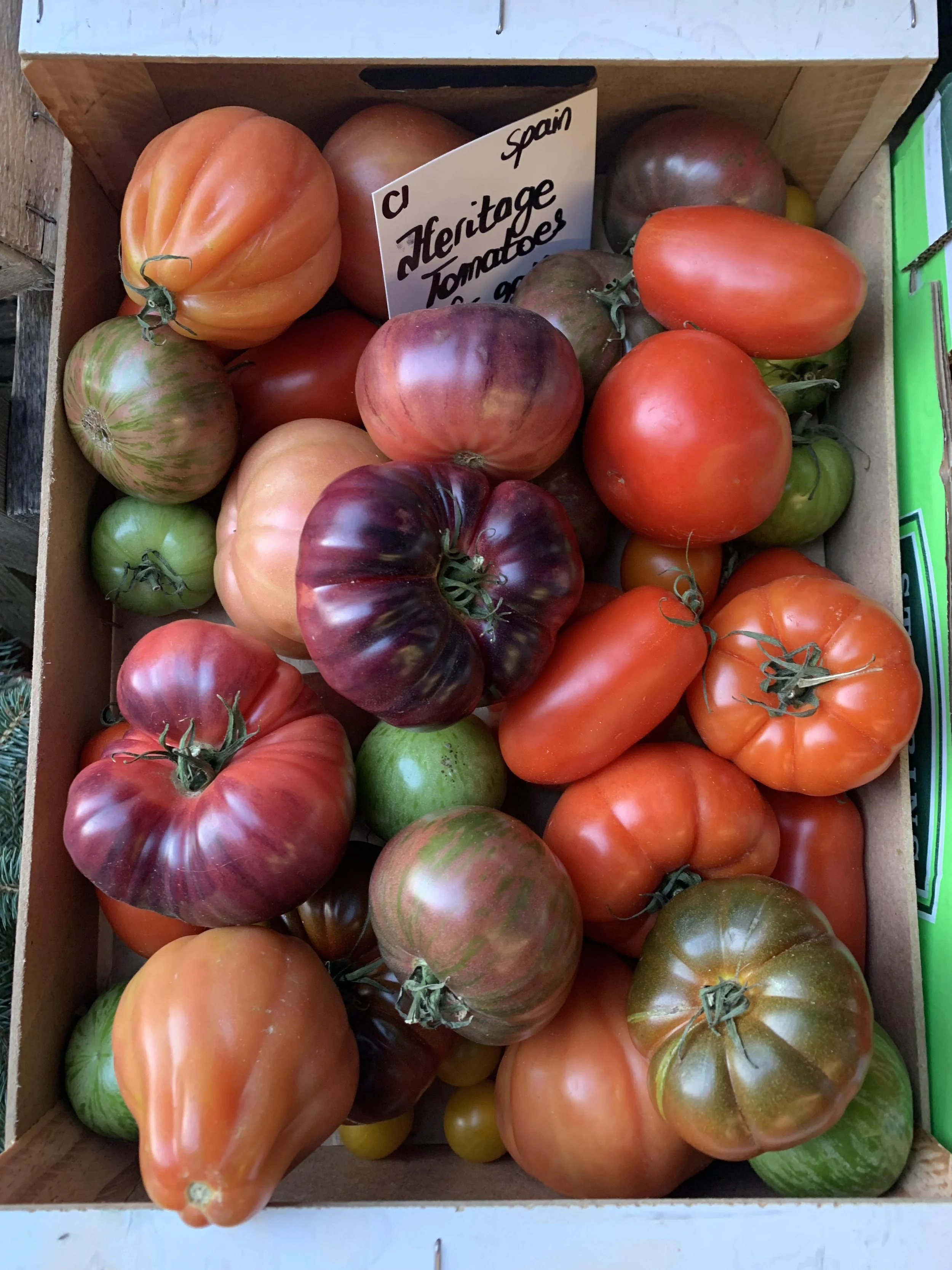 tomatoes photo.jpg