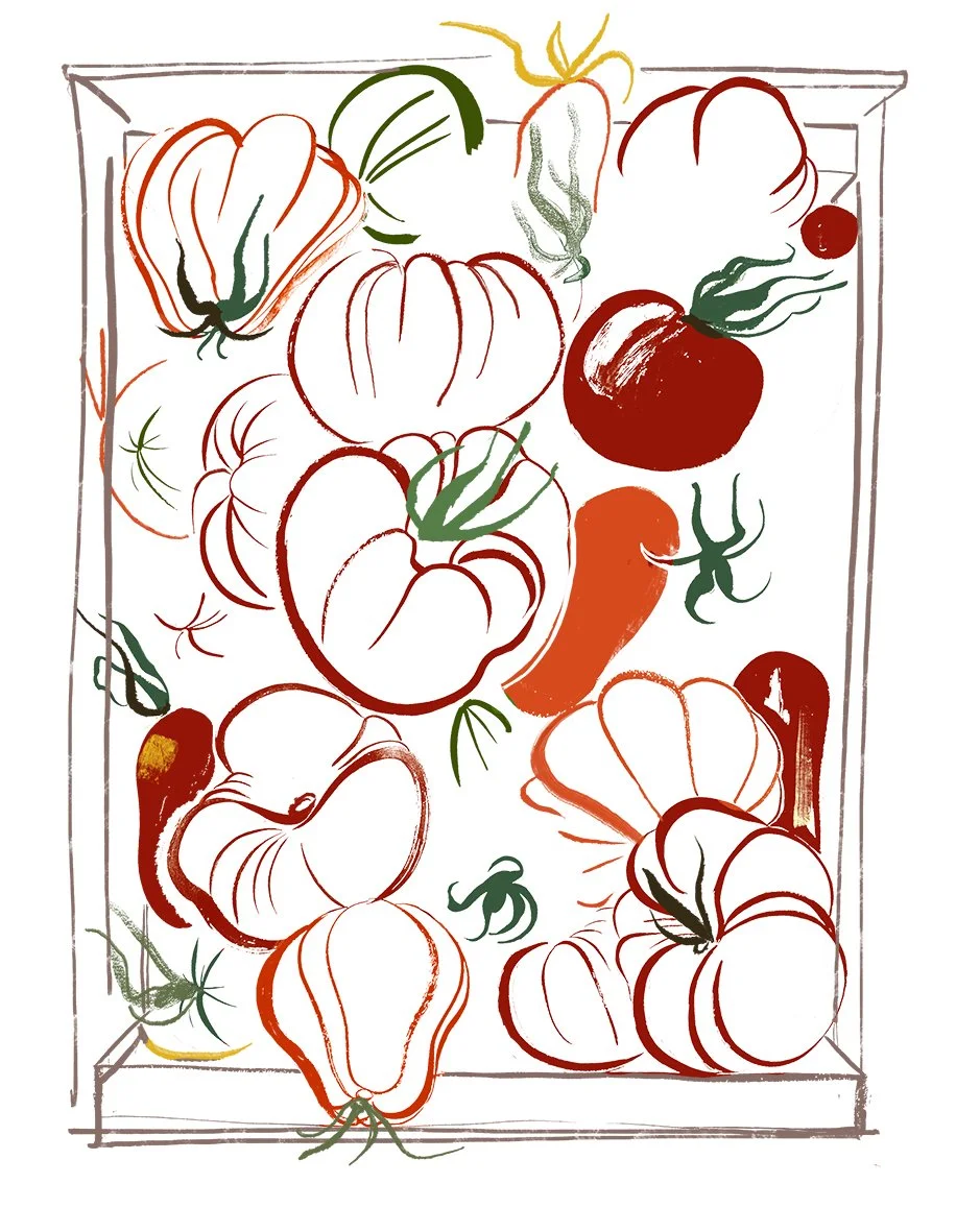 Tomatoes-linedrawing.jpg