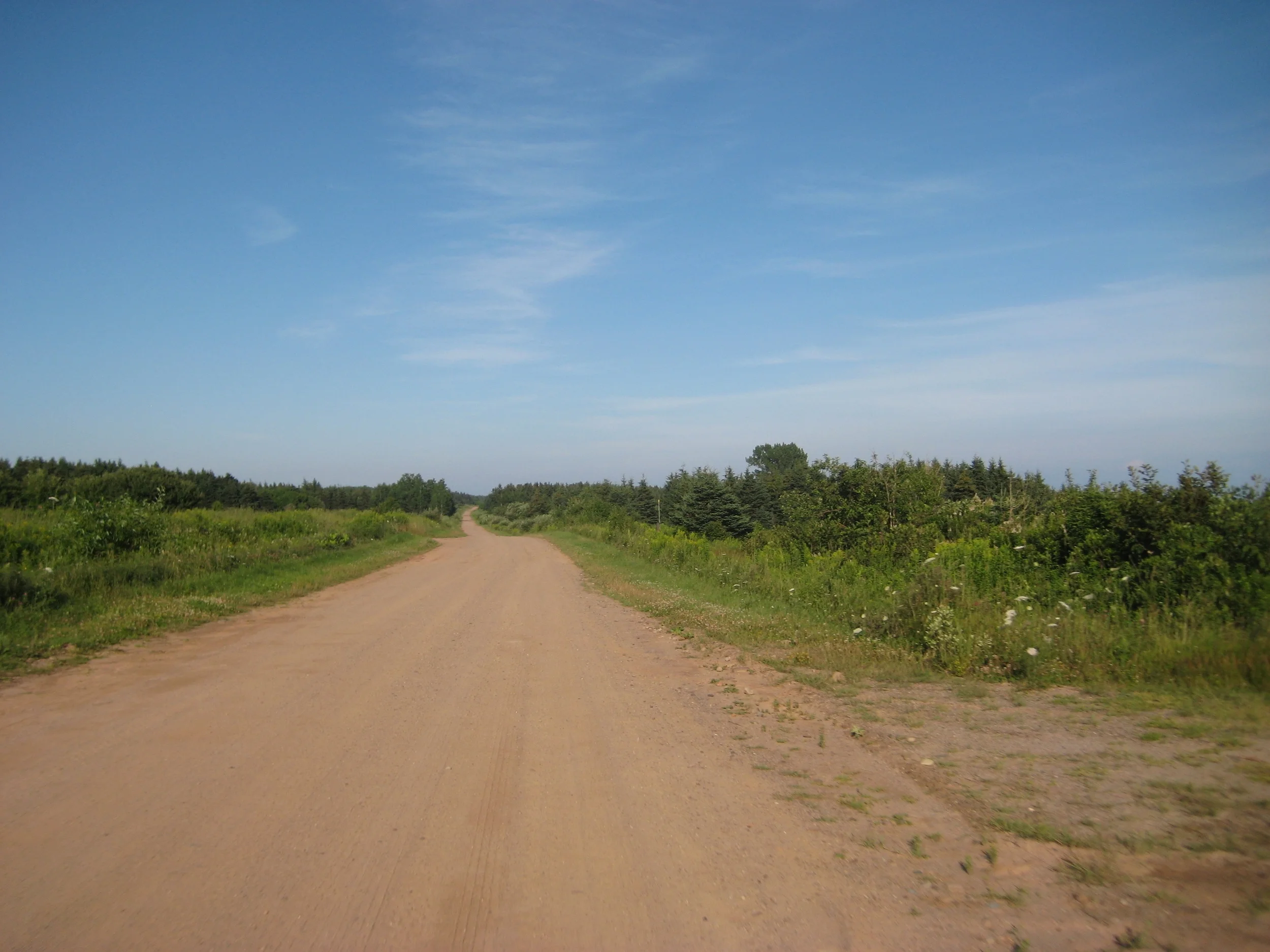 IMG_0725.JPG