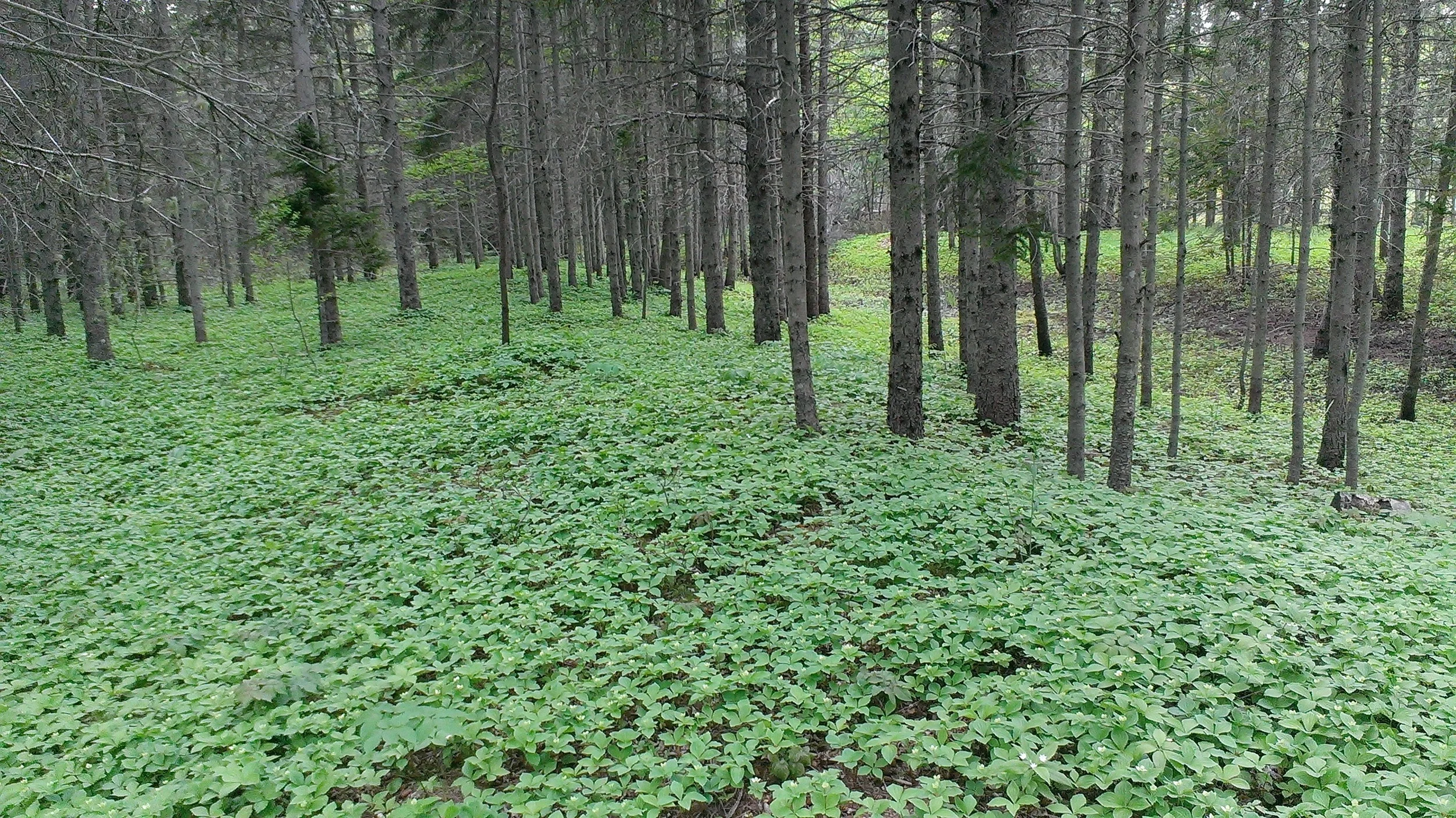 Image 3.jpg