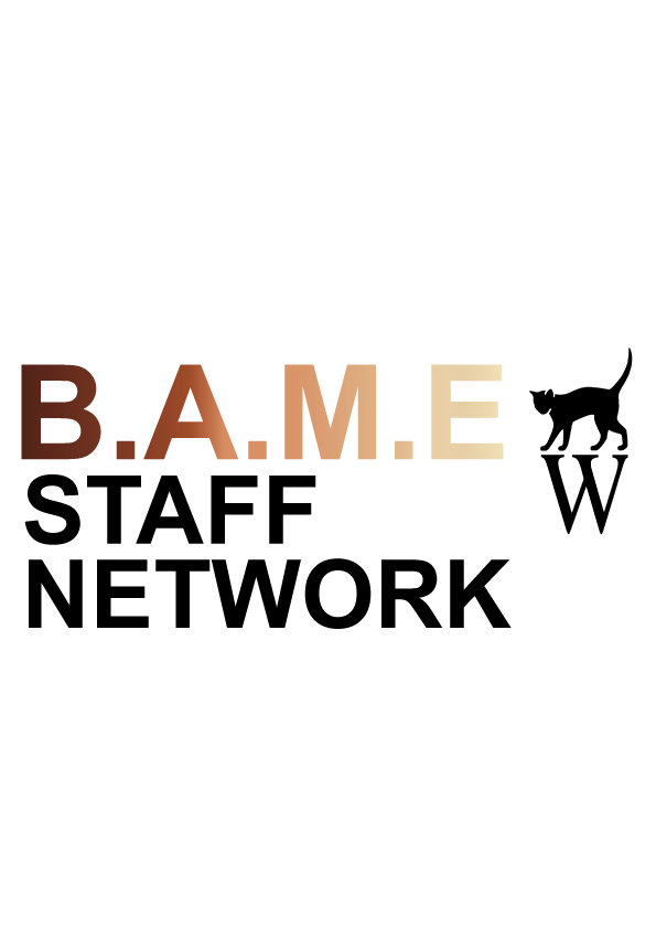 BAME-Alternative.png