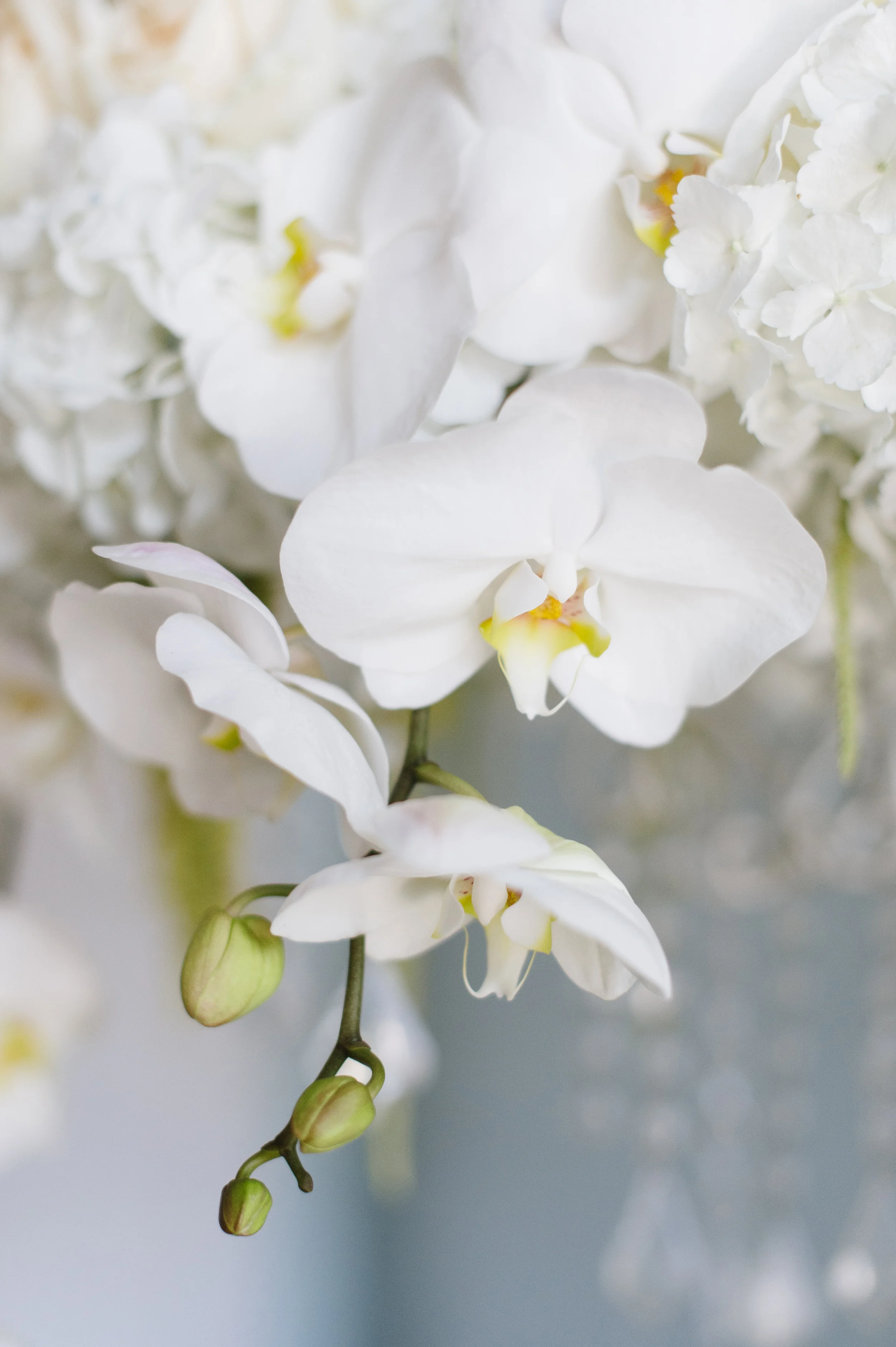 Floral Chandelier