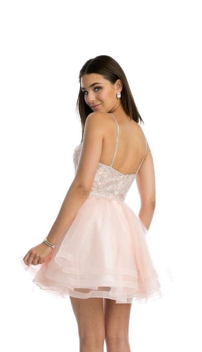 blush dama dresses