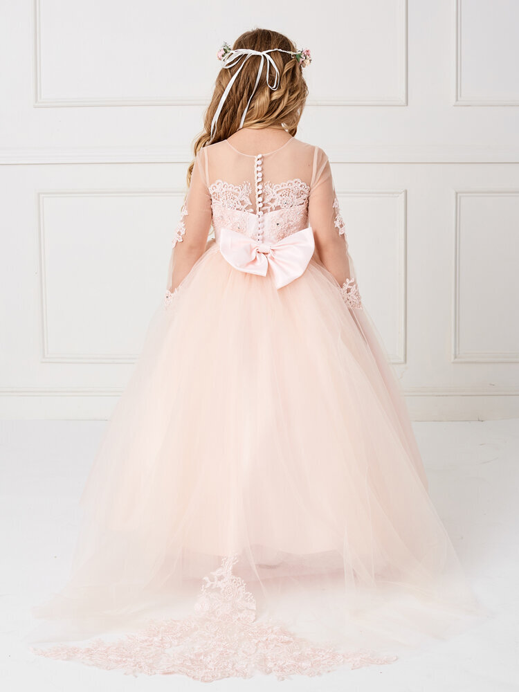 Danielly's Boutique Glitter Flower Girl Ball Gown