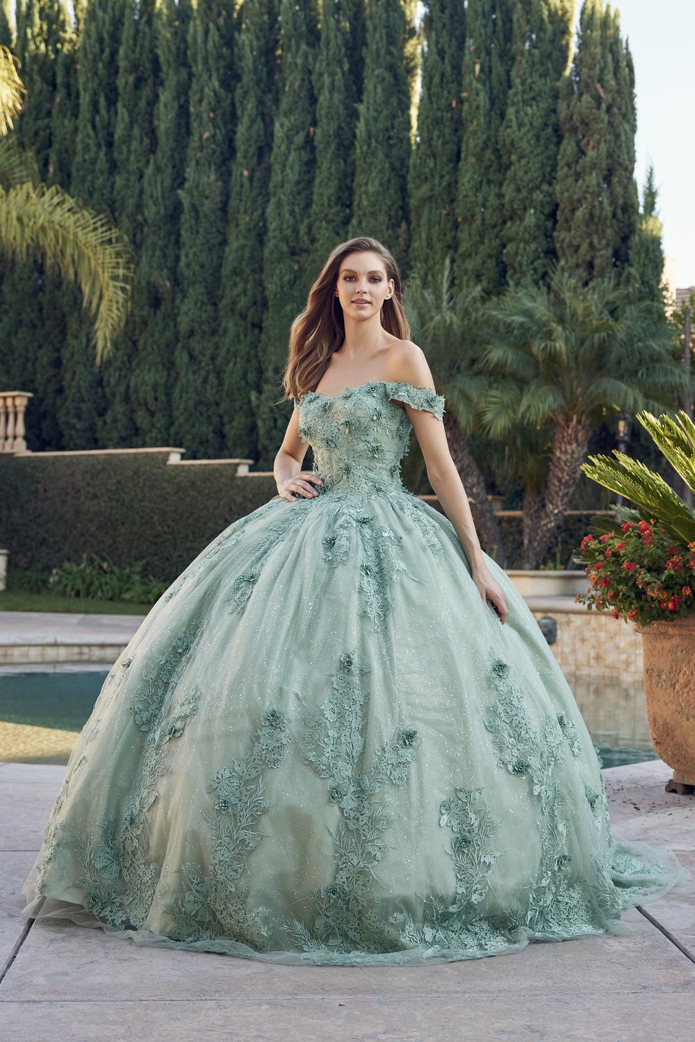 Reproducere Børnehave tavle Sage Green Quinceanera Dress — Danielly's Boutique