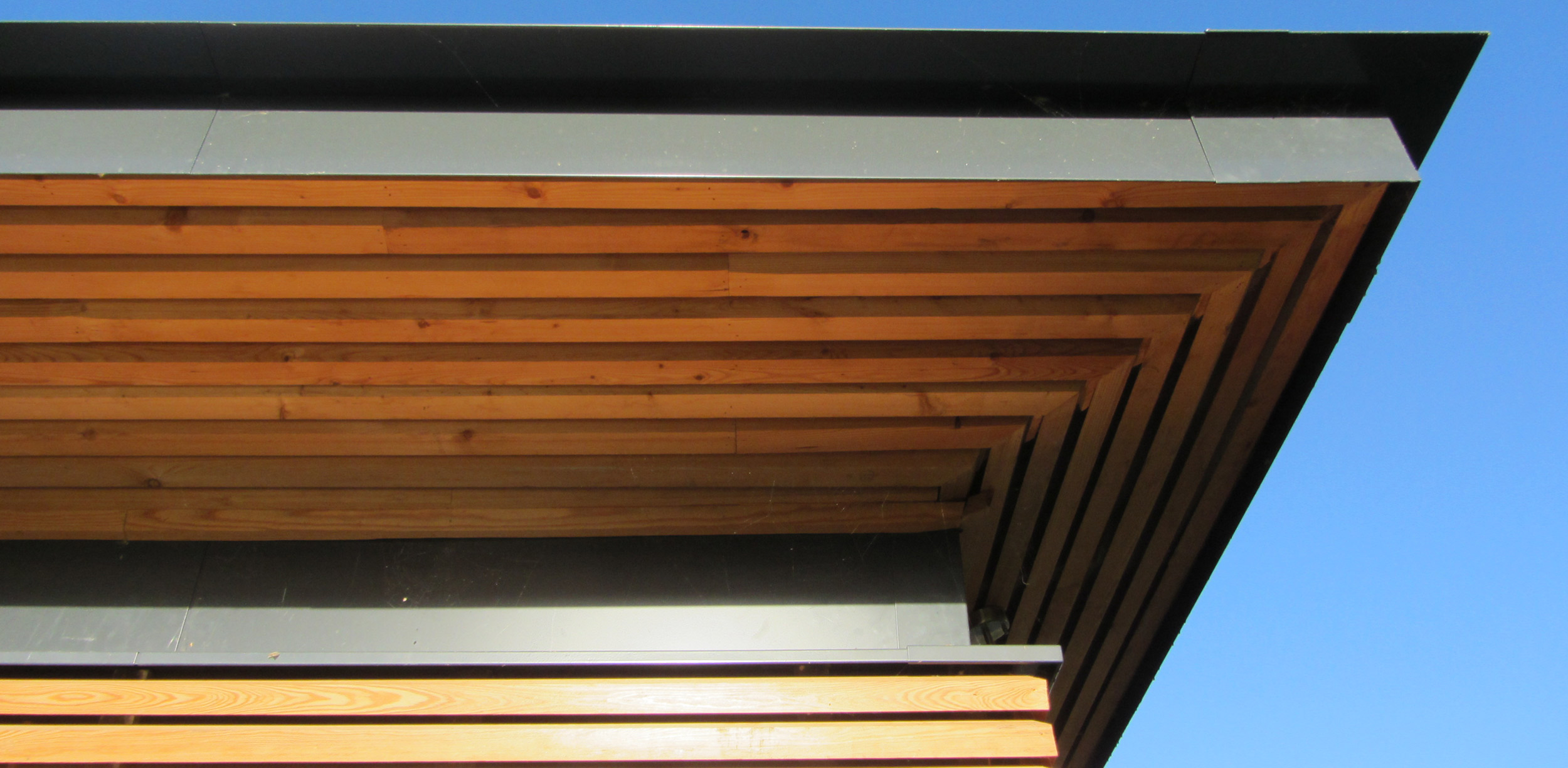 Horizontal Siberian larch cladding and powder coated metal eaves flashings create a crisp edge to the building