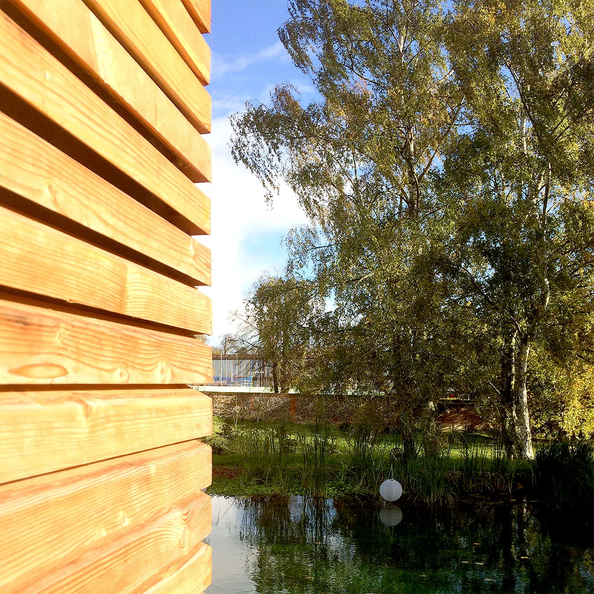 larch cladding detail (web).jpg