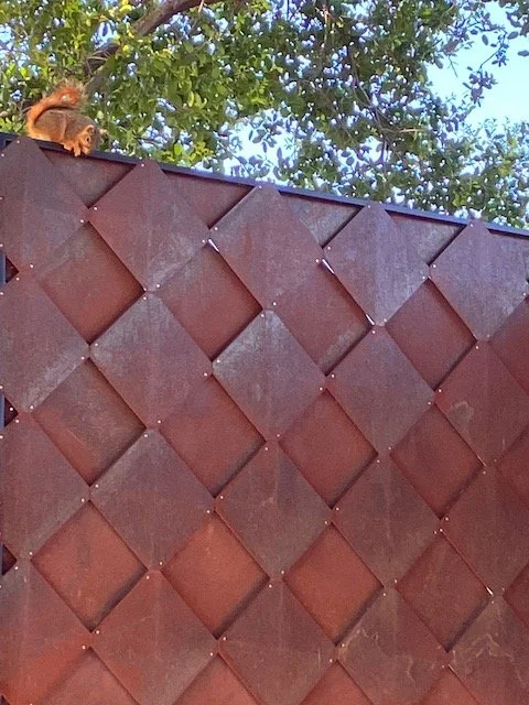 Website 28Jan24 - 25.jpeg