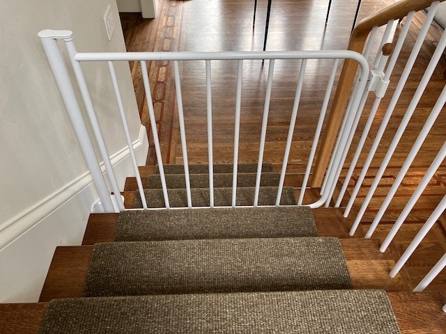 Website 28Jan24 - 15.jpeg