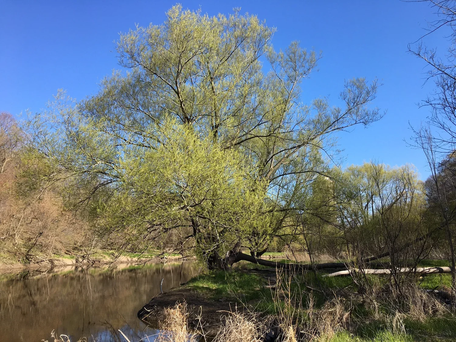 Milwaukee River.webp