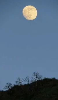 full moon at Tass, resized.jpg