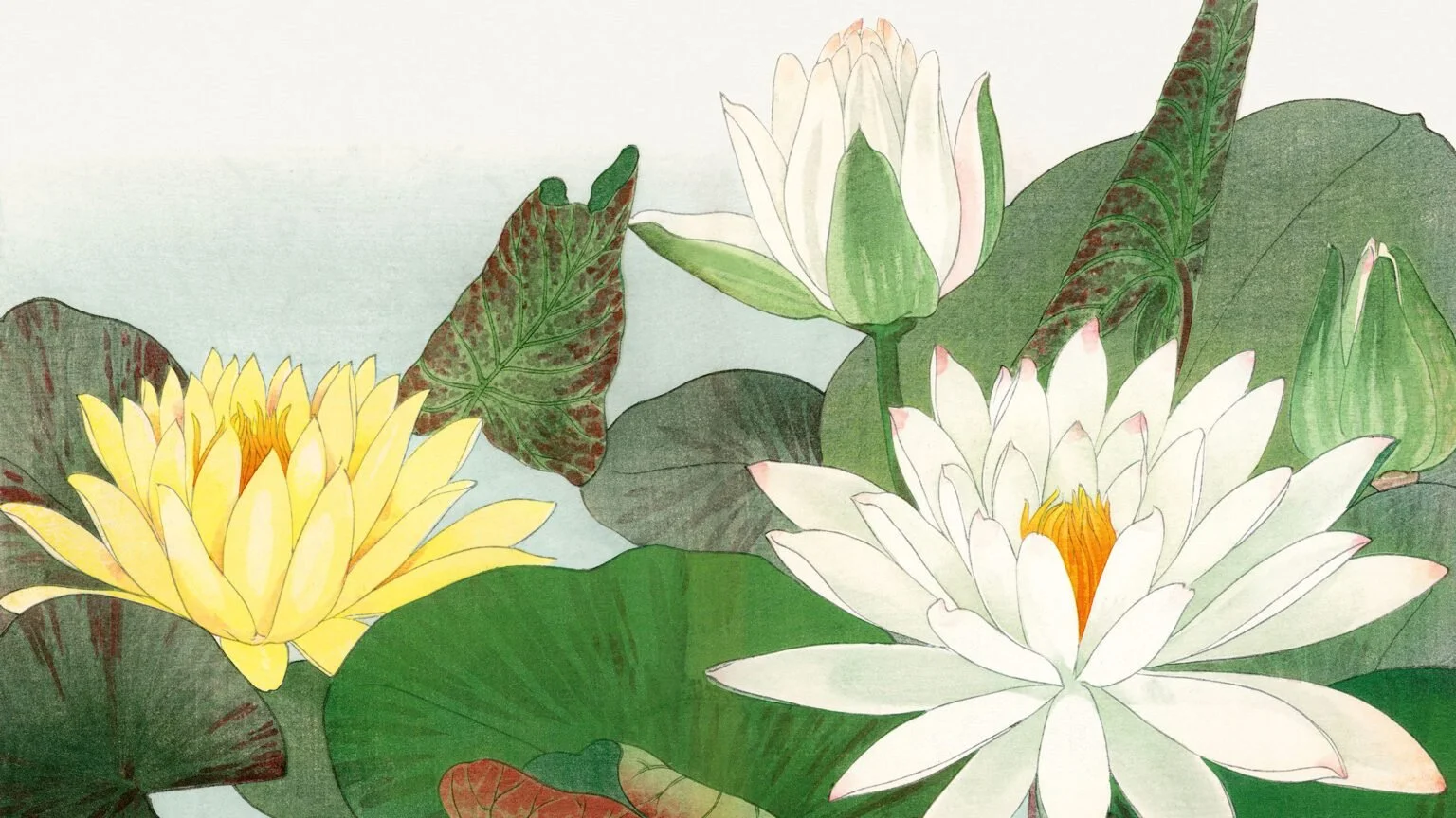 lotuses (Soka Zufu).jpg