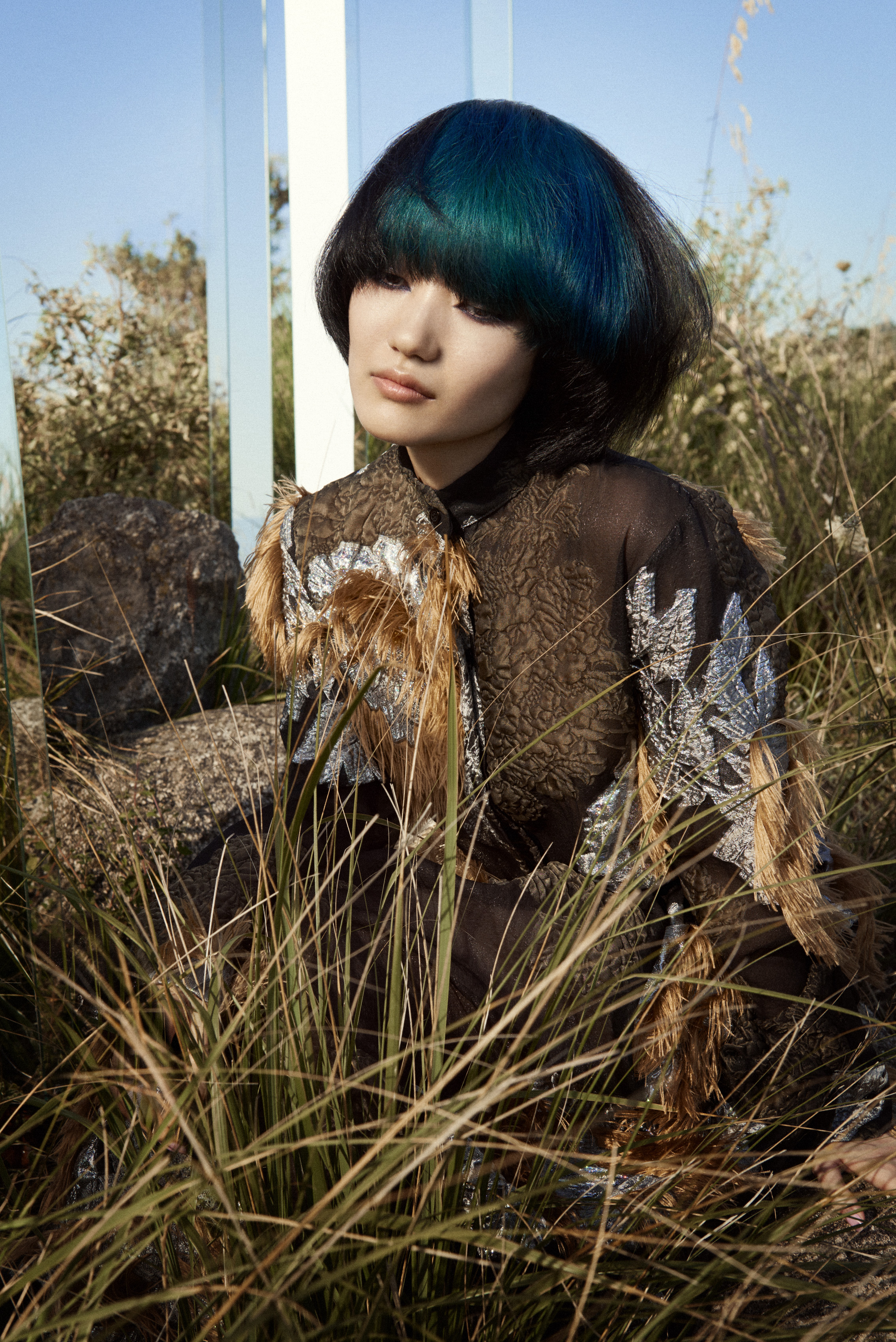 Wild Collection