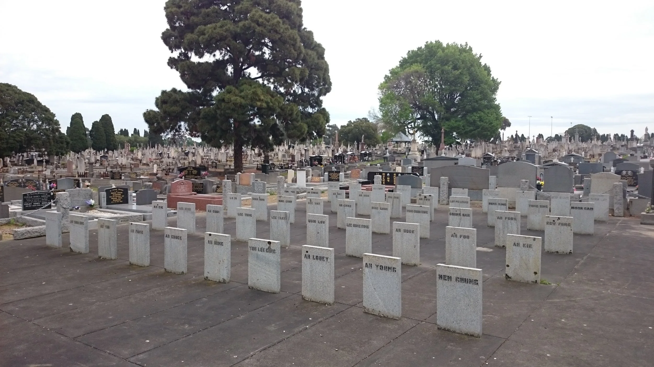 One half of the headstones. You can notice lines cut into the concrete that mark out a grave.