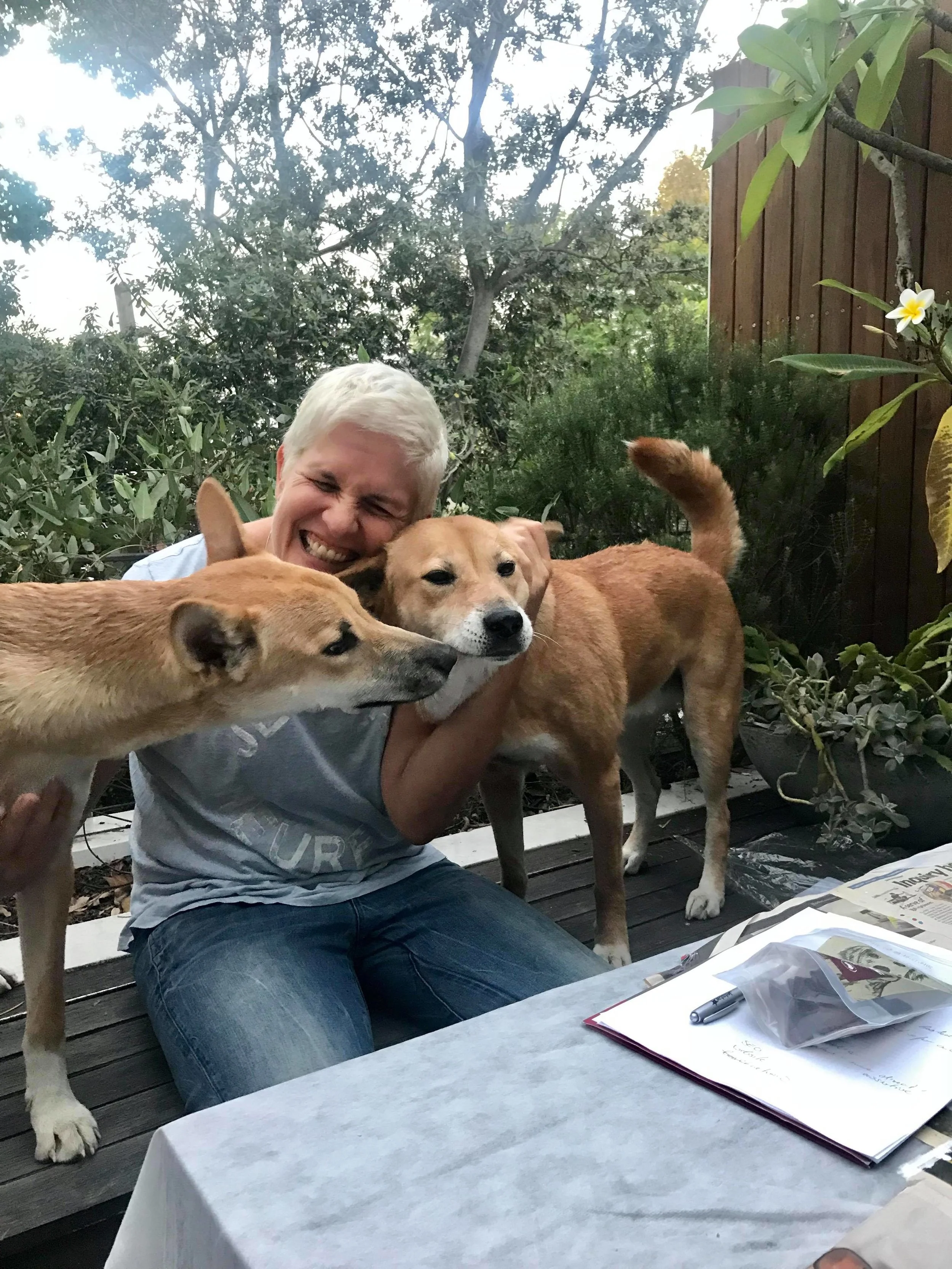 Daniela Osiander with two of her dingos, Nala and Mango. Picture: Shannon Dalton