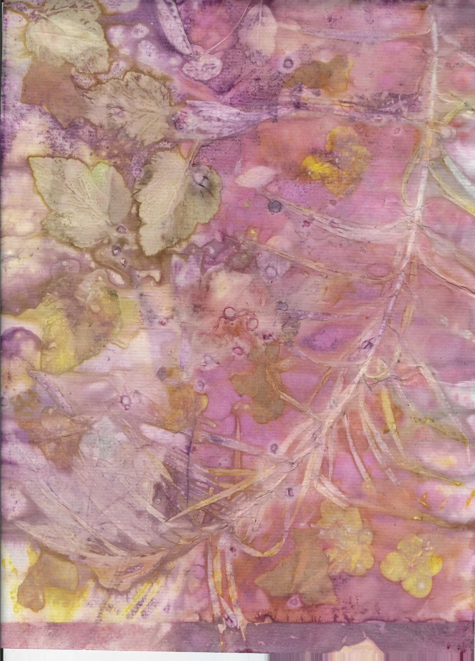 2023-10-07_130522 copy.jpg