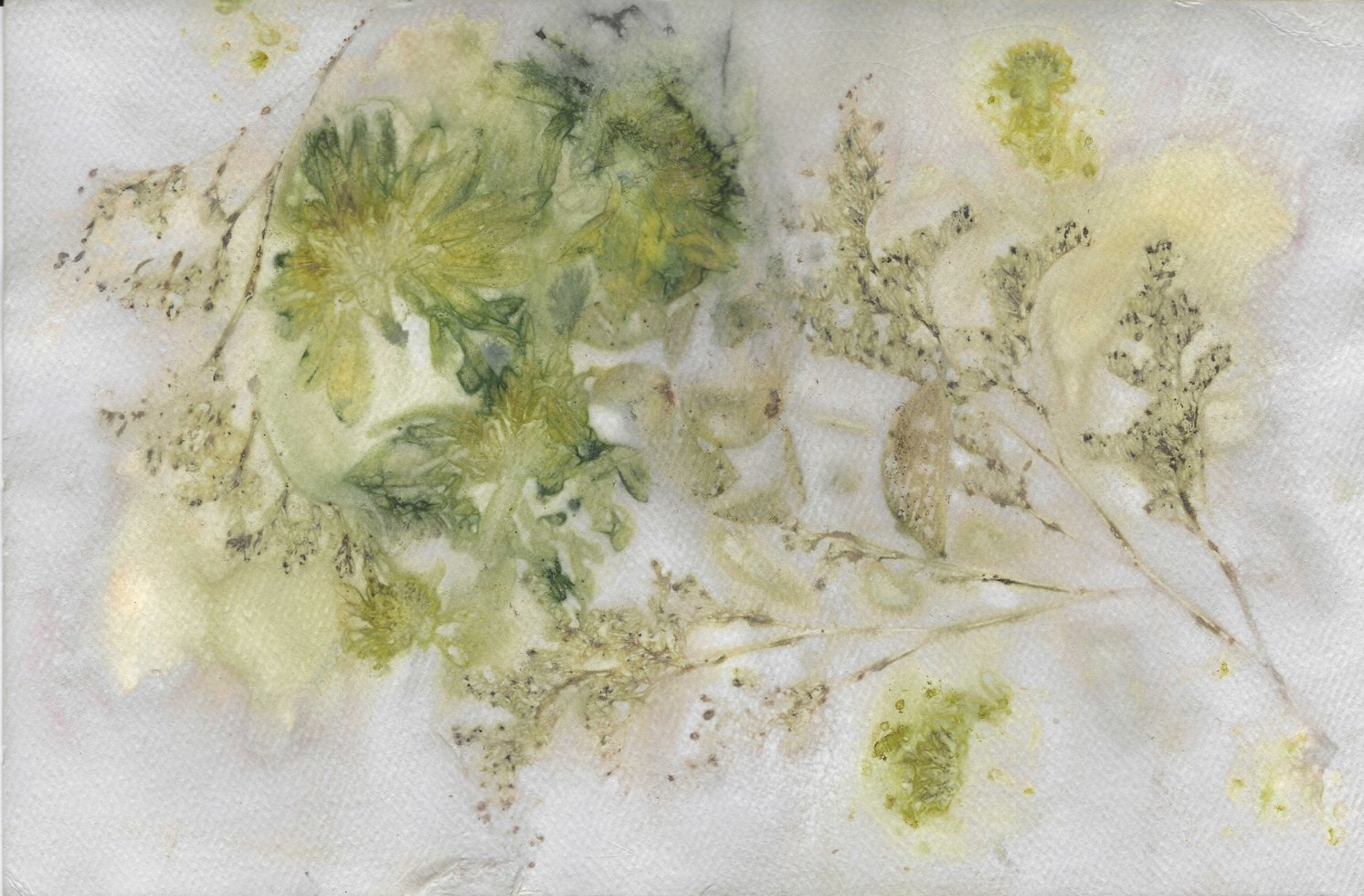 2023-09-29_220356c copy.jpg