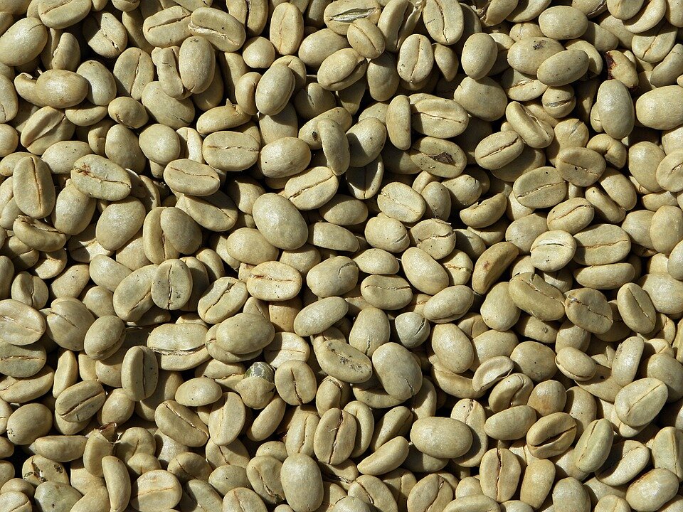 Green Coffee (5lbs-Washed Yirgacheffe)