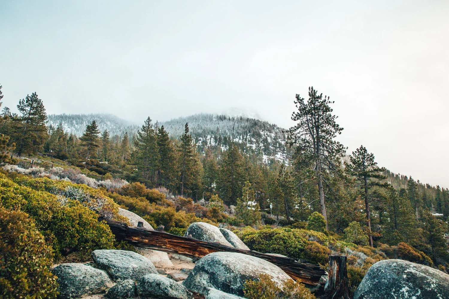 TKP_Nature29.jpg