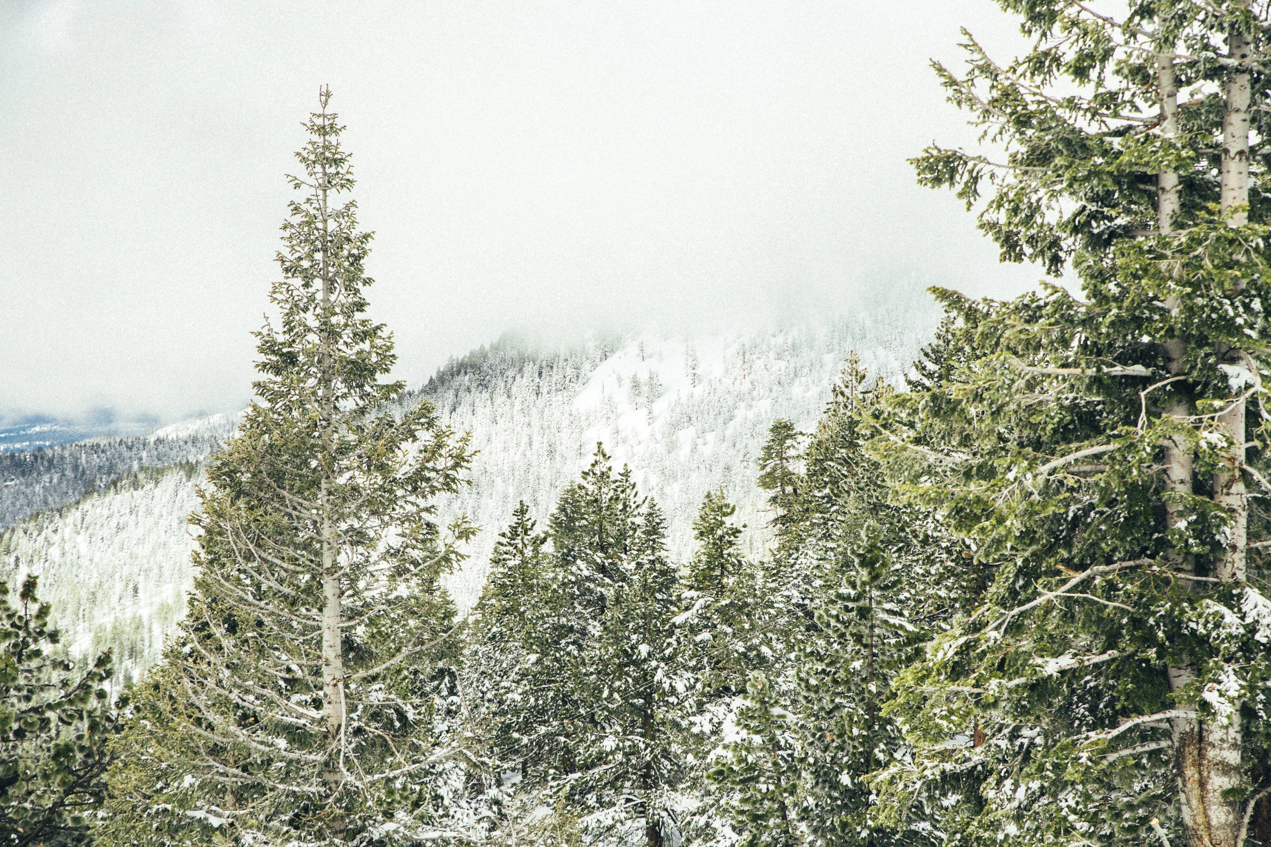 TKP_Nature31.jpg