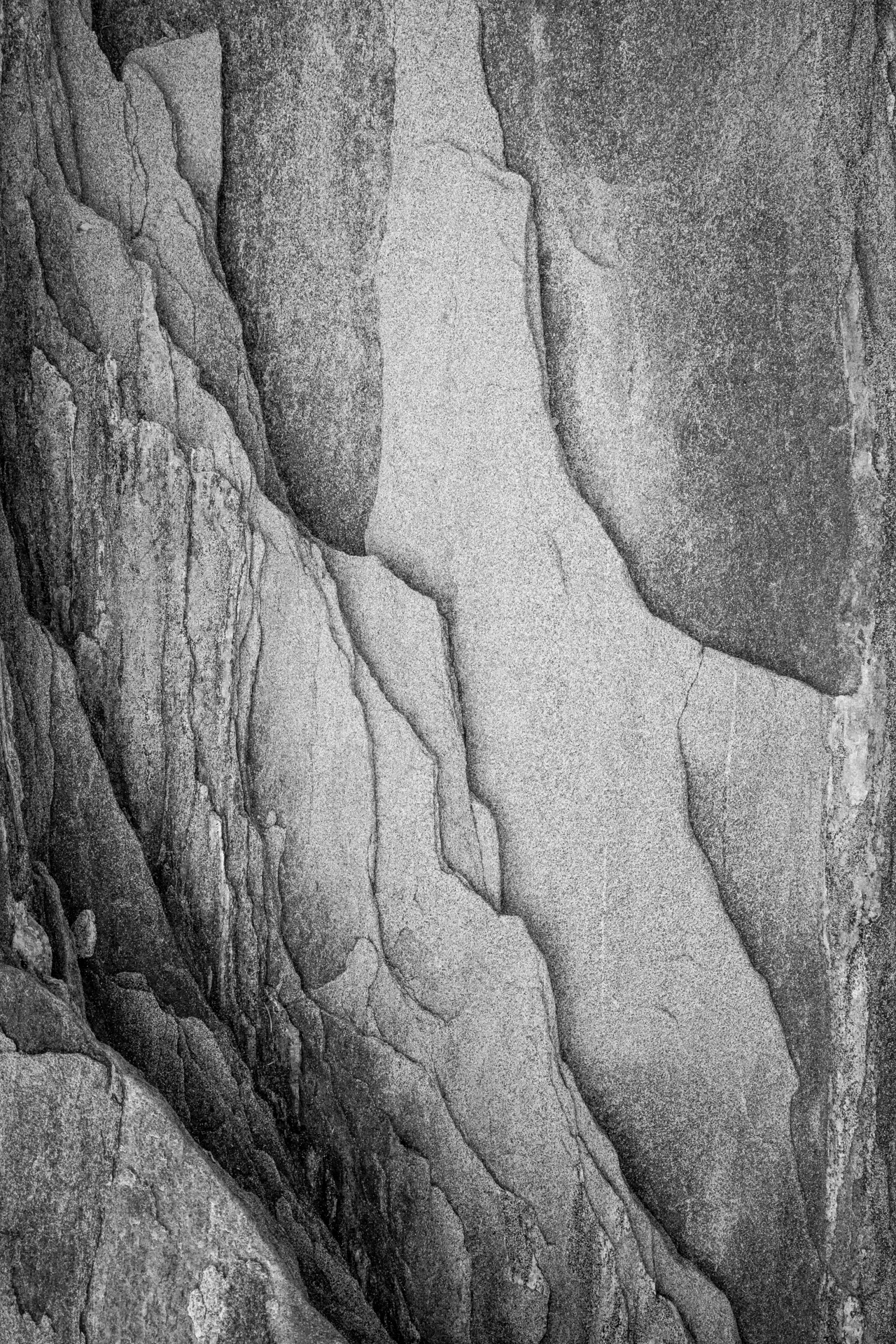 Abstraction4.jpg