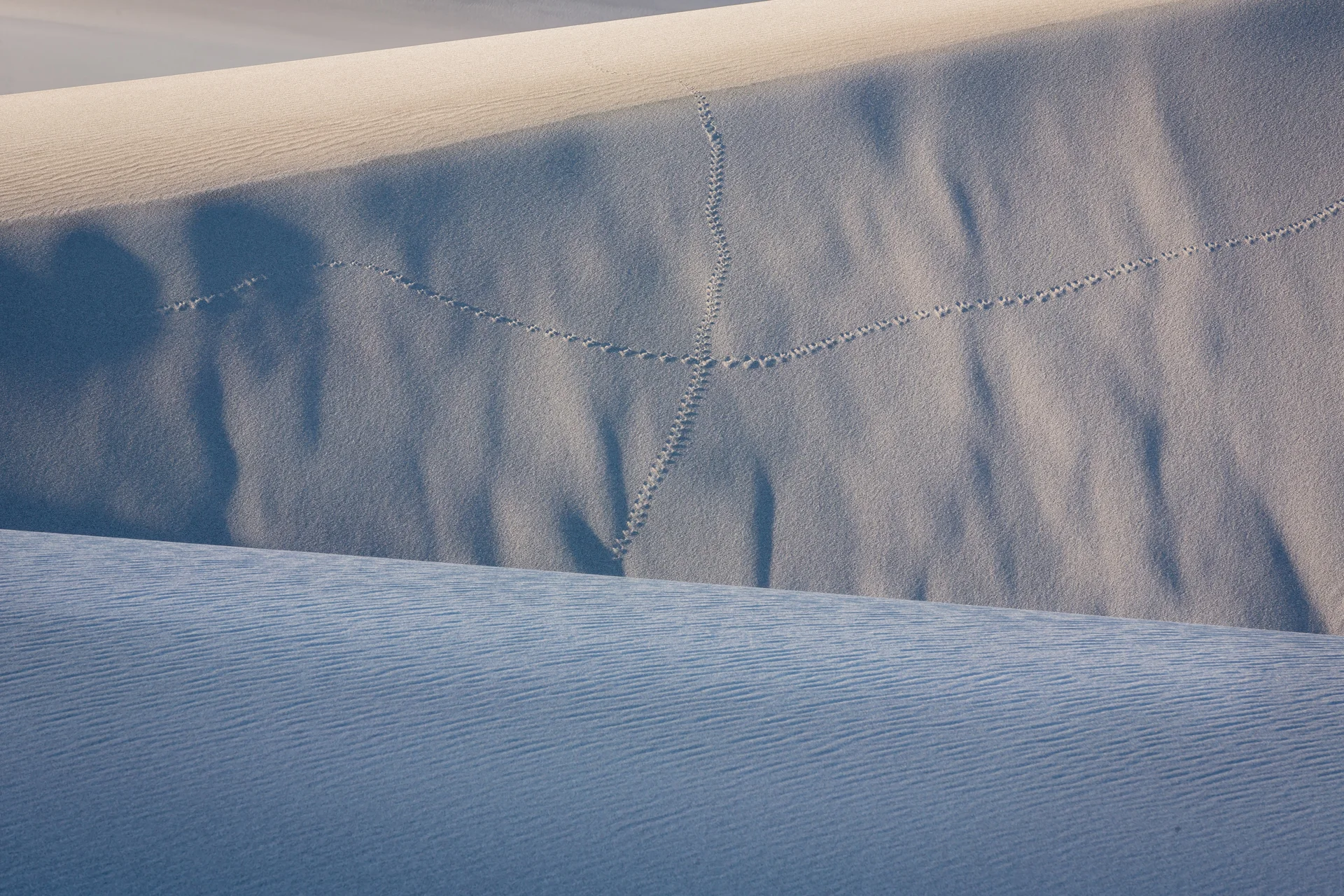 Abstraction9.jpg