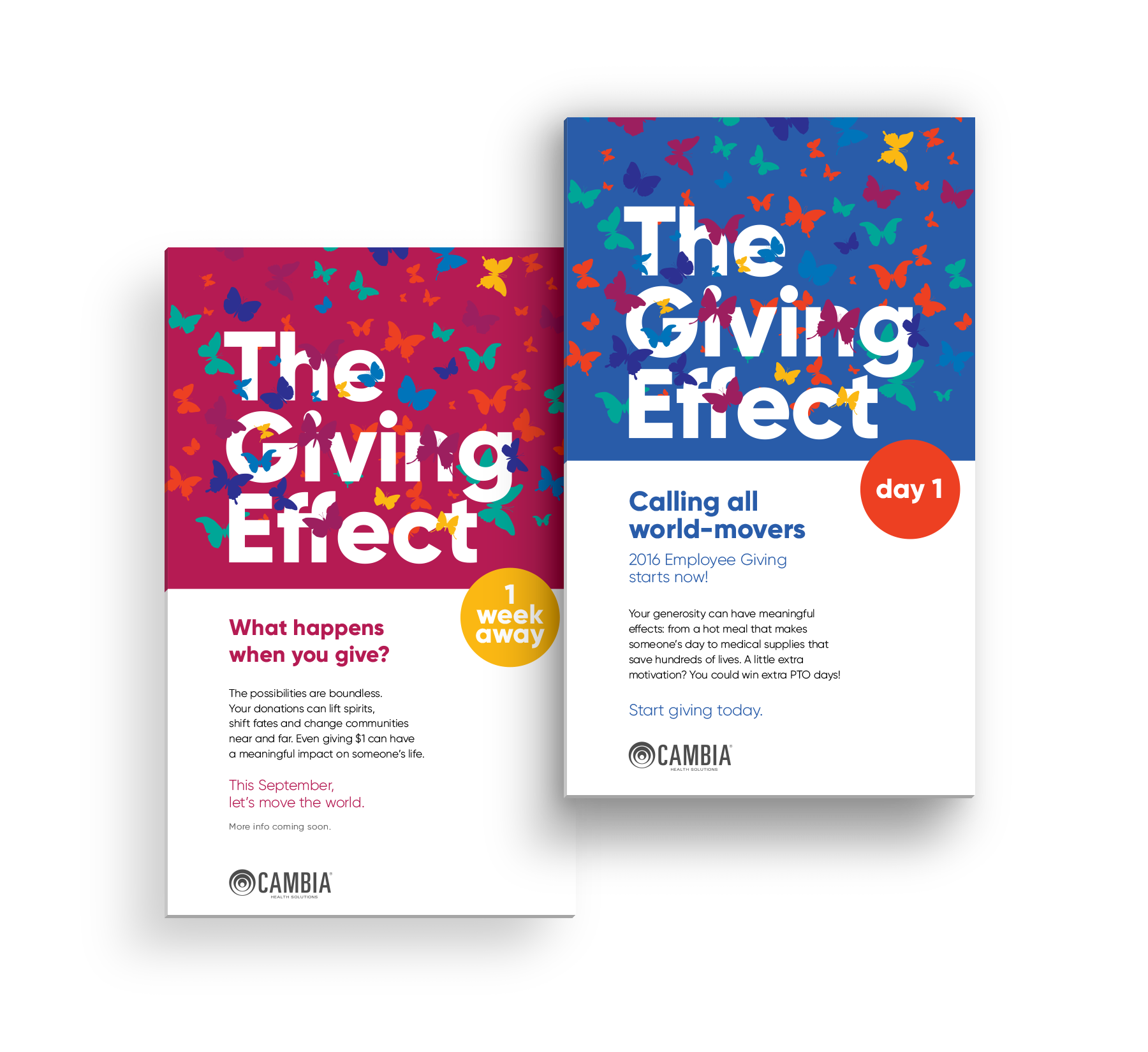 The Giving Effect - Cambia's Annual Giving Campaign