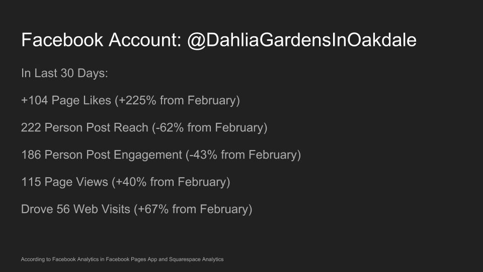 Dahlia Gardens Key Metrics March FB.png