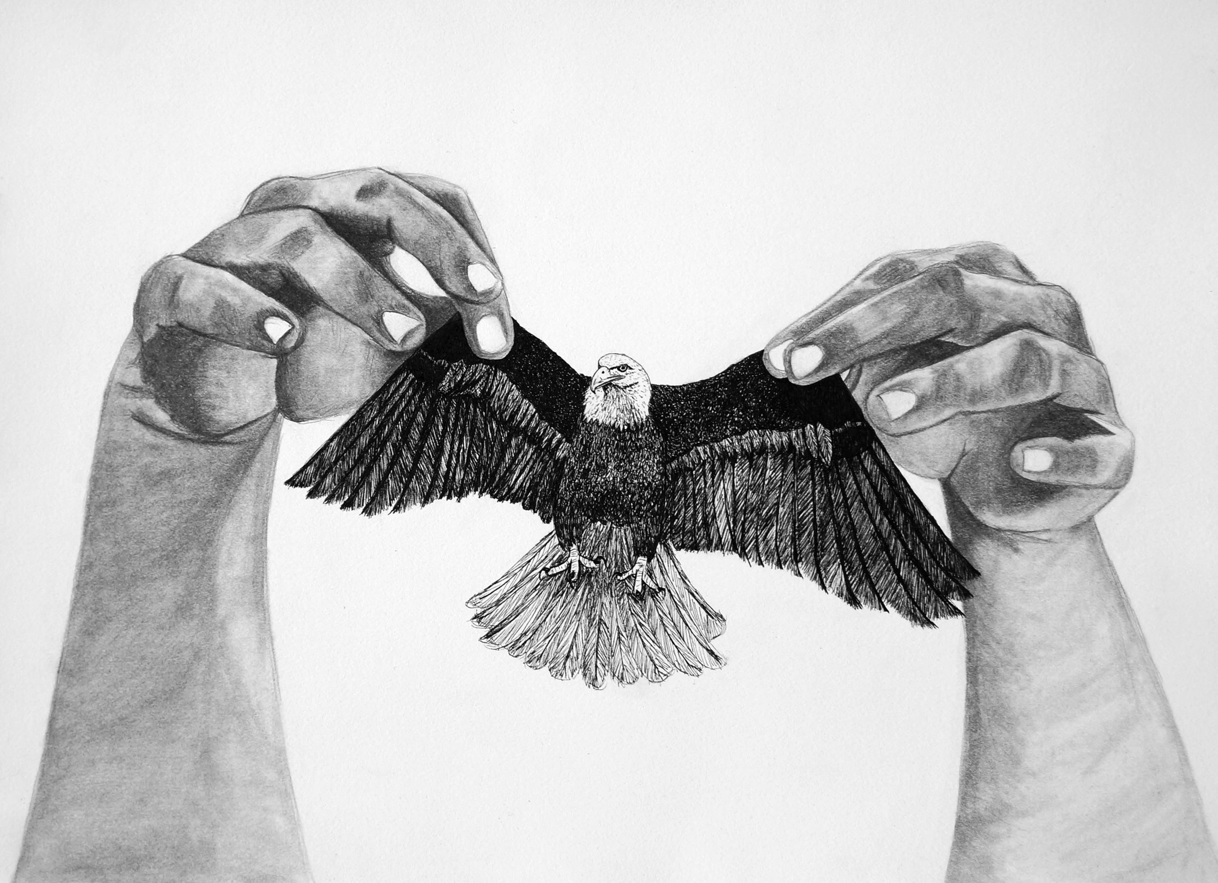 Untitled, Graphite, Ink, and Watercolor, 15"x12", 2013, $250.