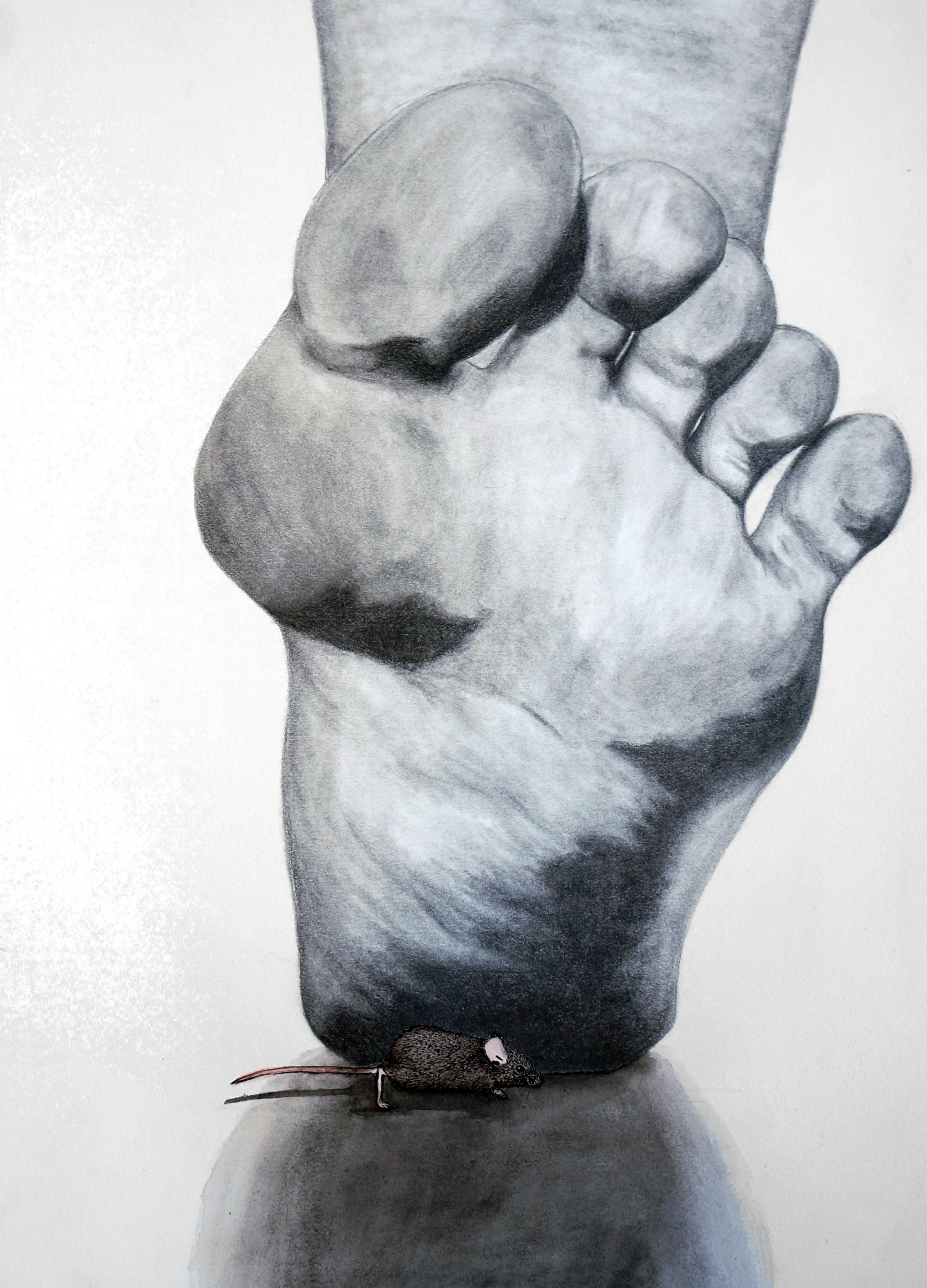 Pest , Graphite, Ink, and Watercolor, 12"x9", 2013.