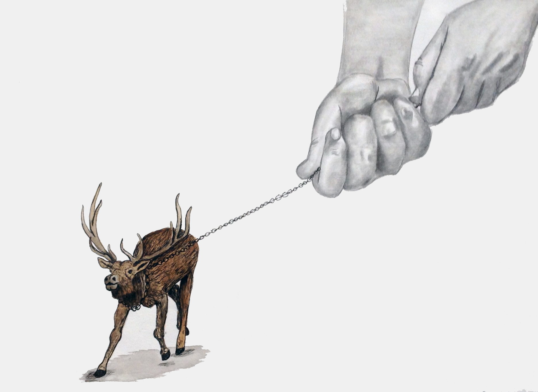 Regulation , Graphite, Ink, and Watercolor, 10"x8", 2013.