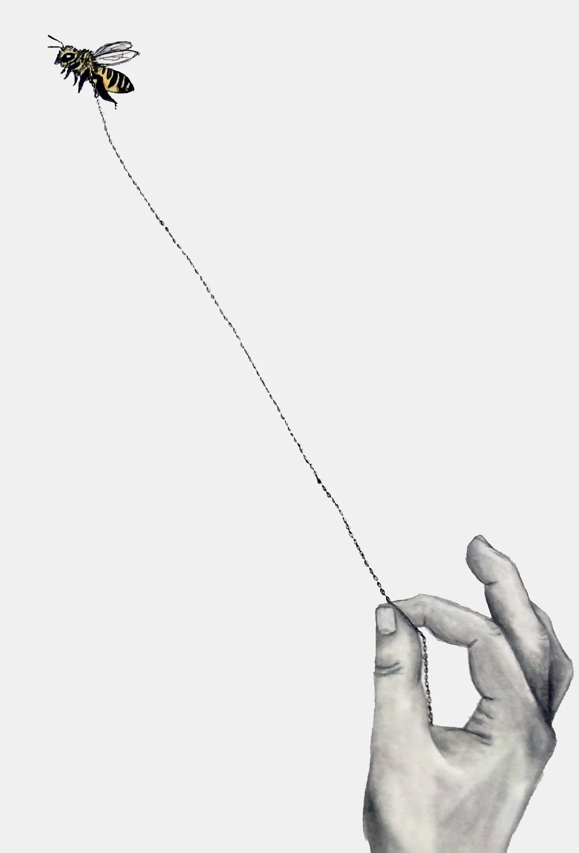 Restriction , Graphite, Ink, and Watercolor, 8"x10", 2013.