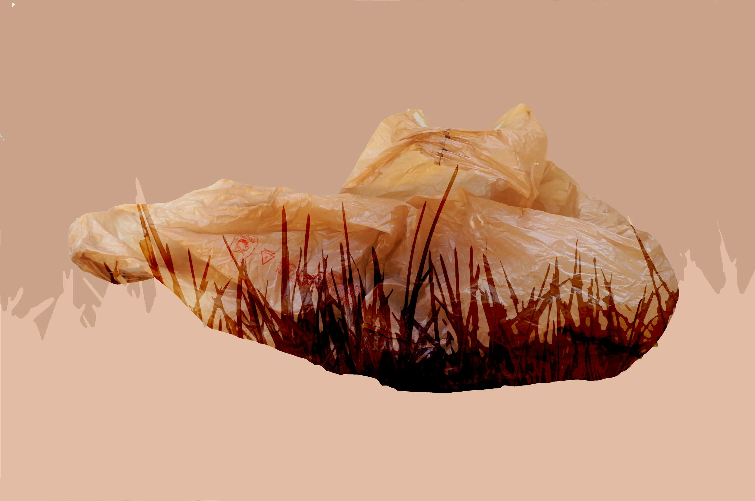 Infertile Obsolescence , 39" x 25", digital print, 2017.