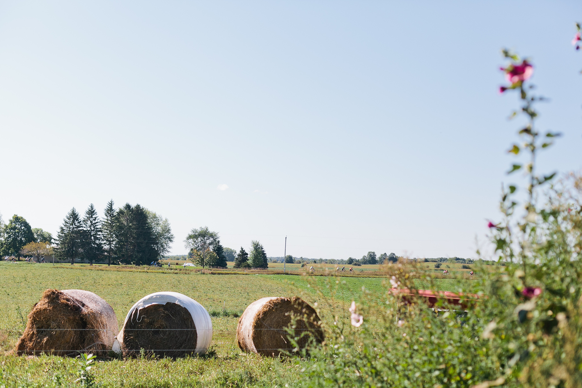 OUR FARMS. Braise got its start by hosting classes and dinners in the farm fields, and we've never forgotten that. As we've grown we have stayed true to our origins and strive, not only to source our ingredients locally but advocate for larger principles of sustainability. Over the past 8 years, we have supported Wisconsin farmers and local artisans by creating the nation's first RSA (Restaurant Supported Agriculture) program. We are proud to be a part of a community that continuously works toward building a resilient local food system.