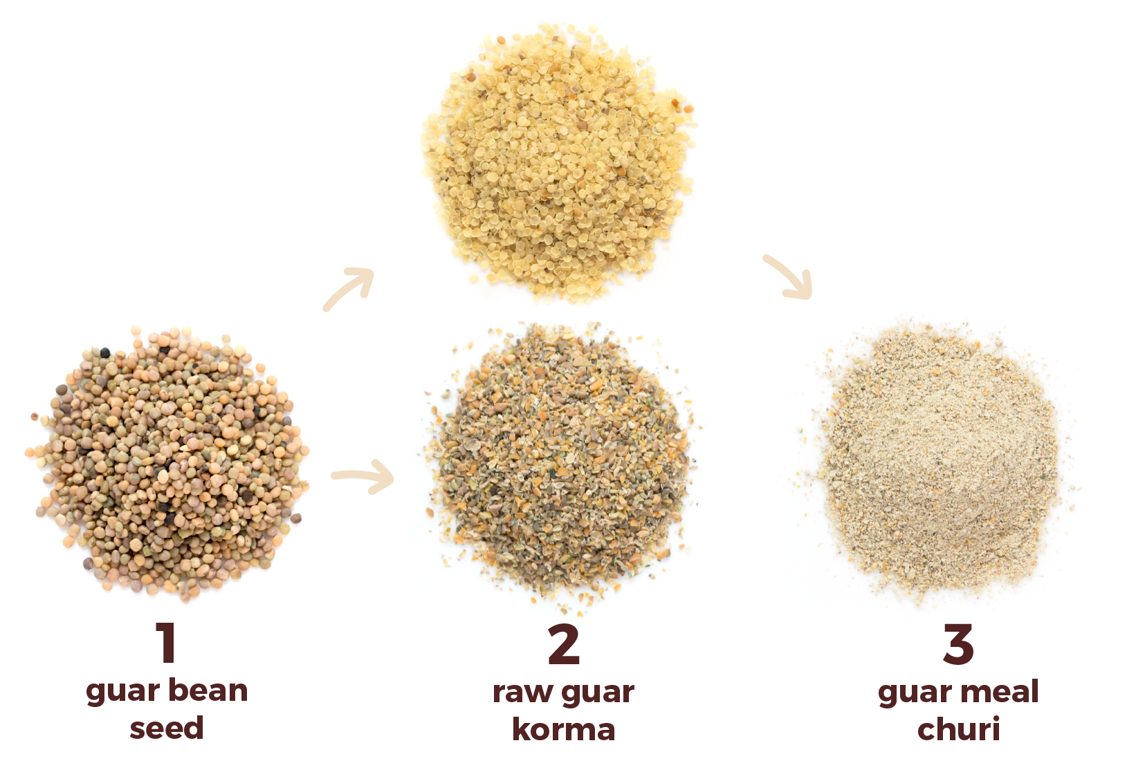 ingredients_ingredients 3.png