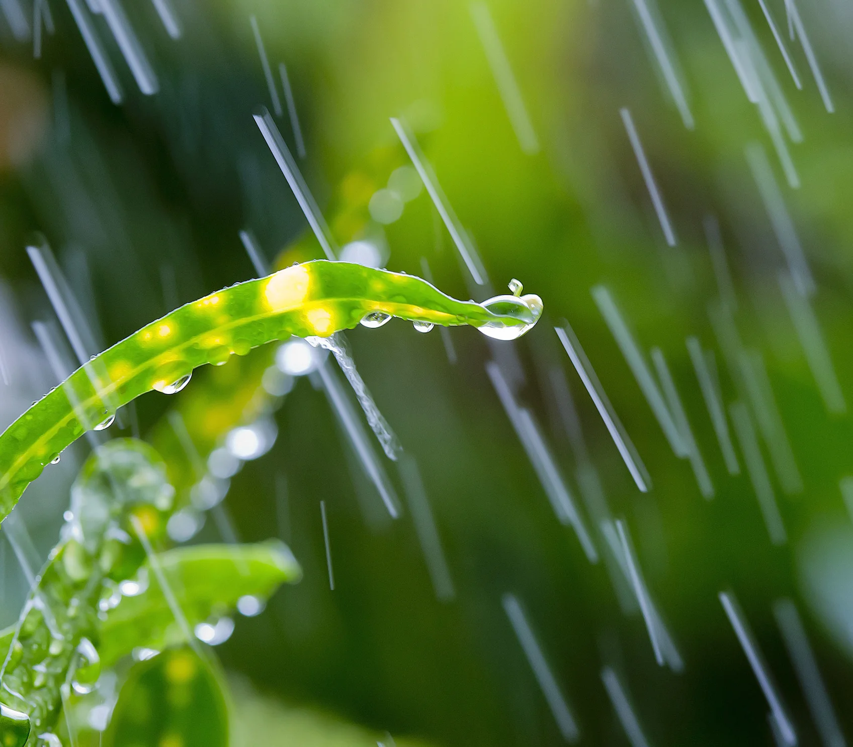 shutterstock_144560882-websize-crop.jpg