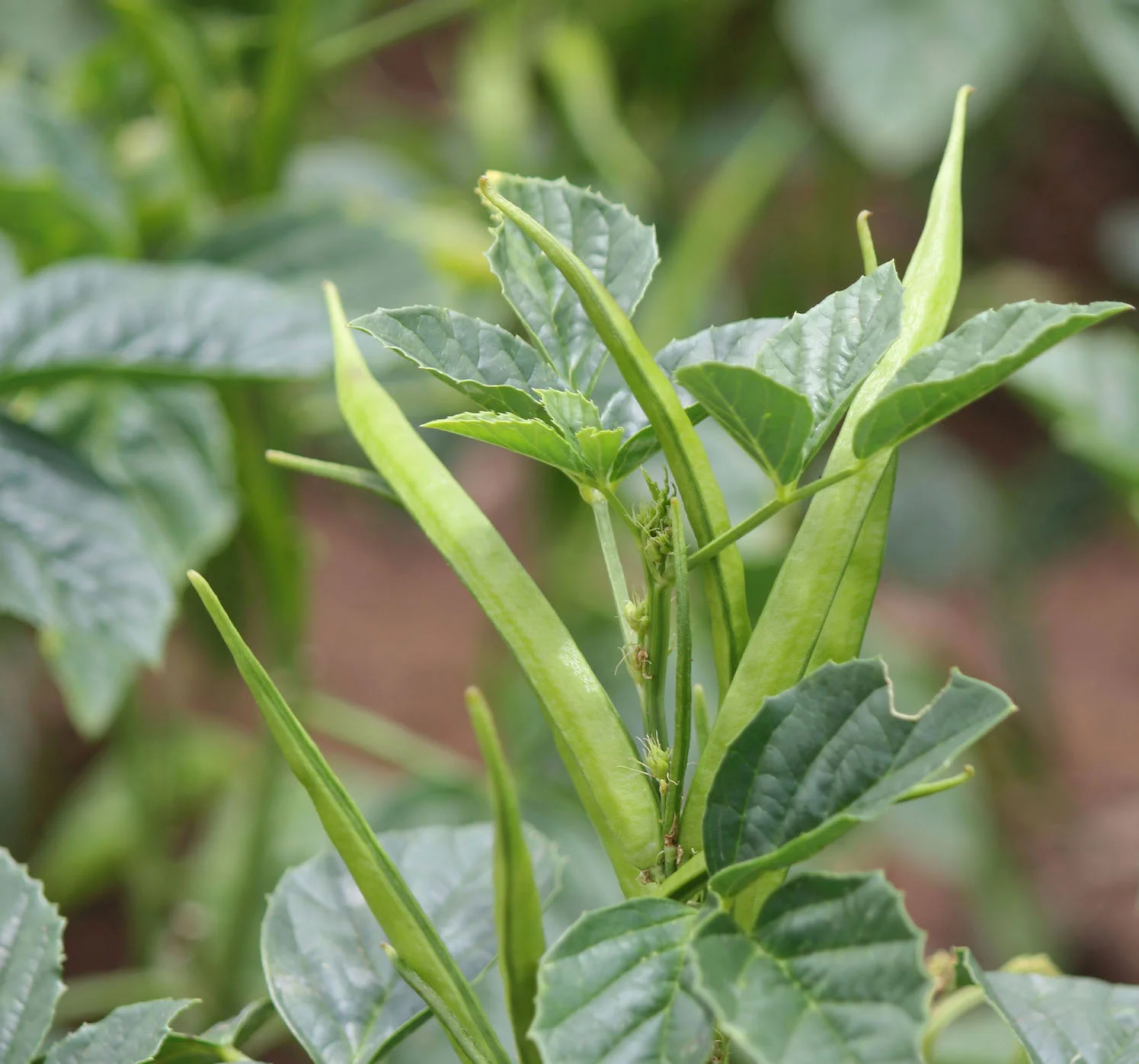 d324md-websize-crop.jpg