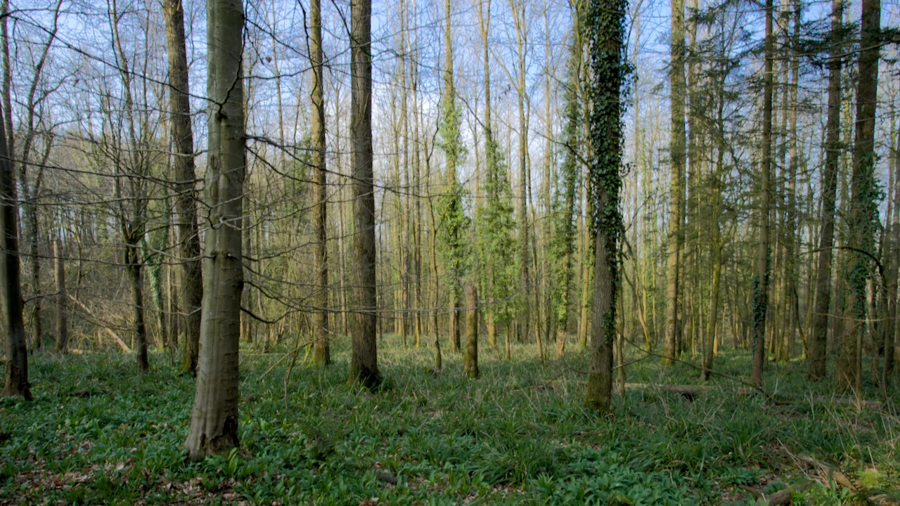 Challenge accepted...