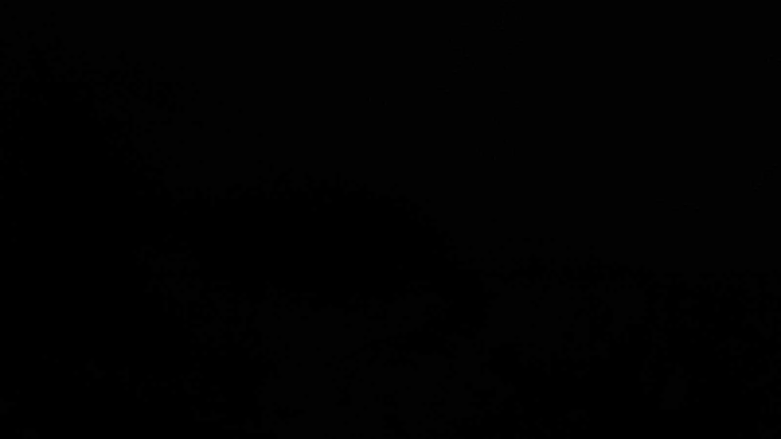 Arrhopalites pygmaeus wandering in the darkness. Goatchurch Cavern, Somerset, Oct 2013