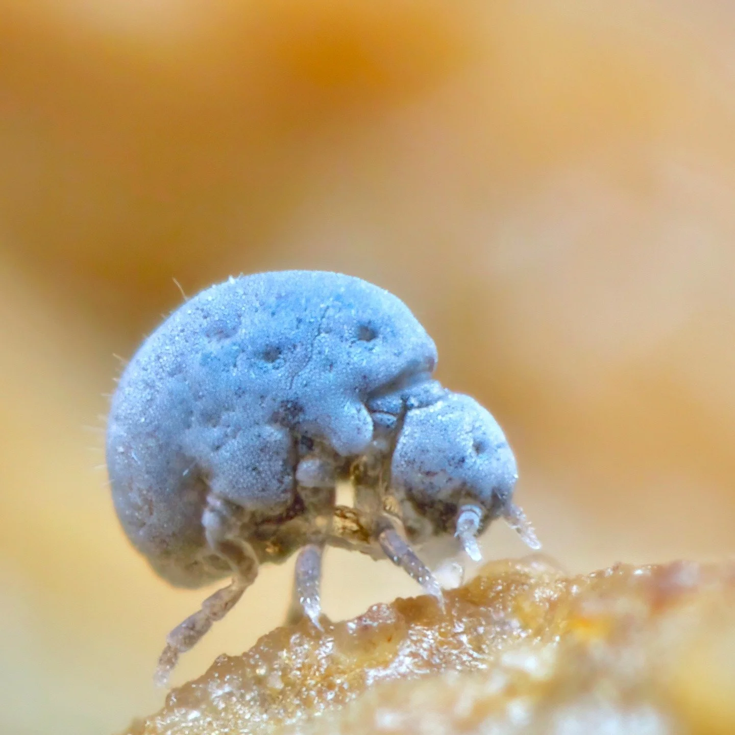 As @ash_whiffin points out in her post today, #bluemonday, the 19 January, while being known as the most depressing day of year, is actually just a marketing ploy dreamed up by a travel company wanting to boost holiday sales rather than anything to d