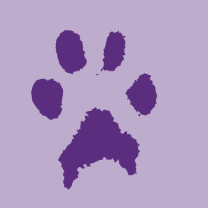 Reef_pawPrint_lightpurple.png