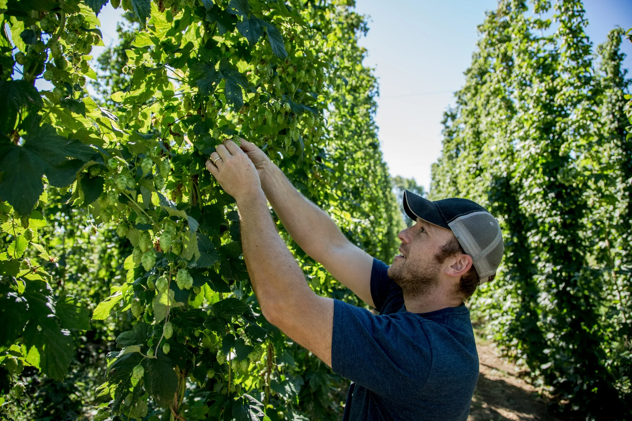 2016_September13_GRBC_HopYard_2048px_©MattBerkowitz-39.jpg