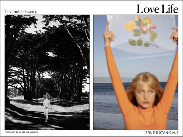Screen Shot 2019-04-28 at 7.17.08 PM.png