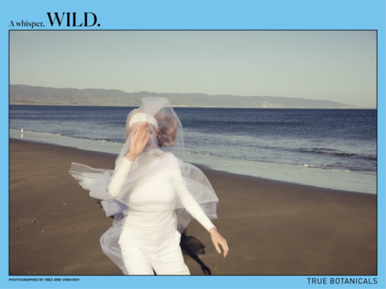 Screen Shot 2019-04-28 at 7.19.11 PM.png